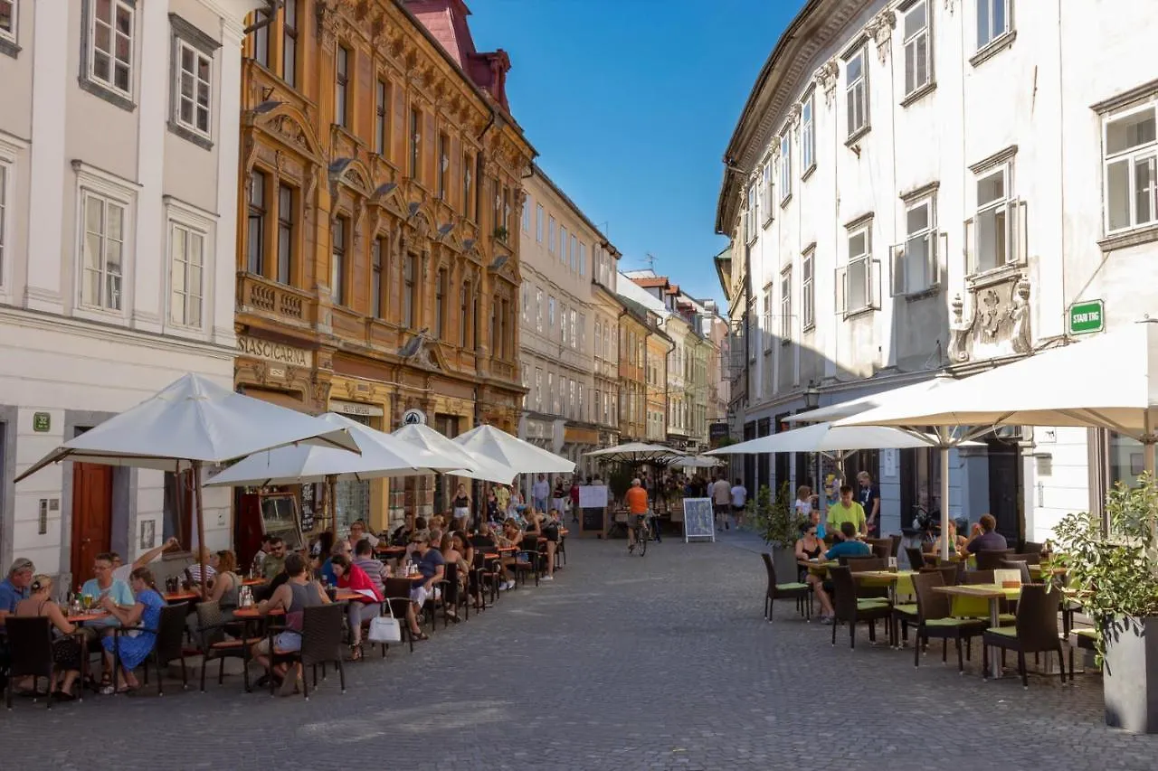 City Center Apartment With Parking Ljubljana